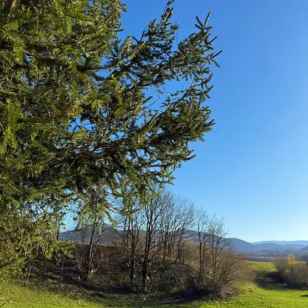 Vista *